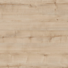 230 Betula (Available for order from 01.01.2024)