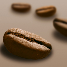 M15 Coffee beans